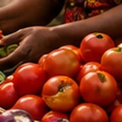 Fresh tomatoes at a market stall